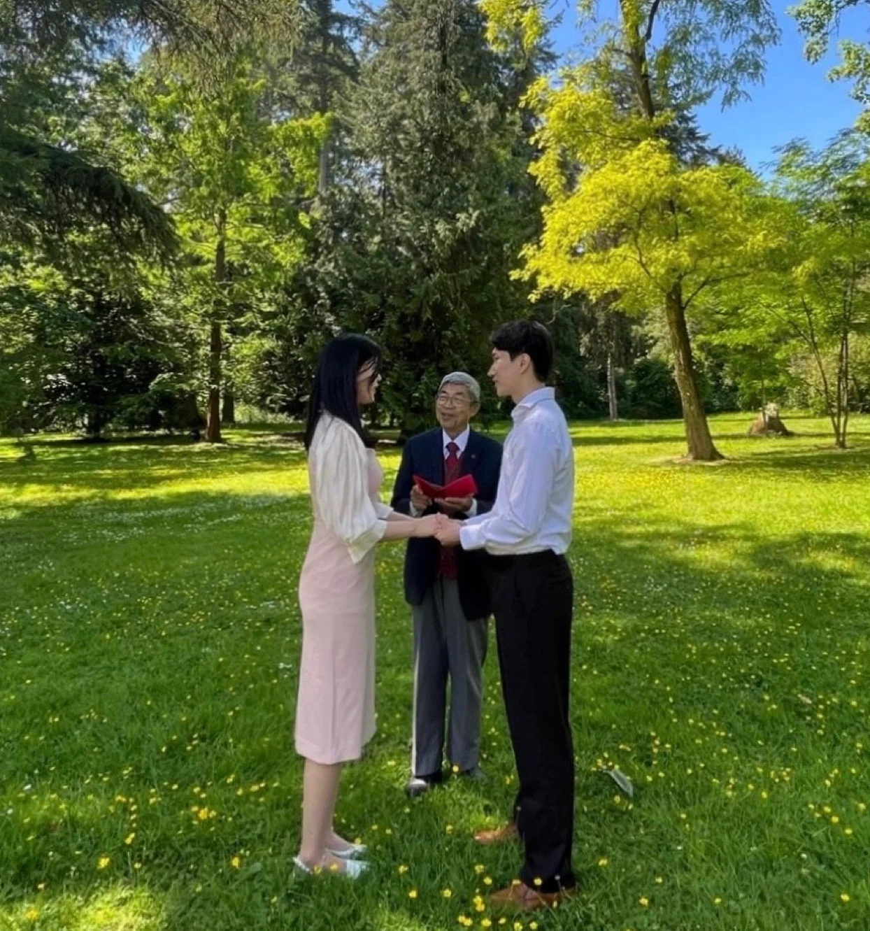 사진